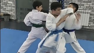 The perfect Karate Kids Bunkai Waza