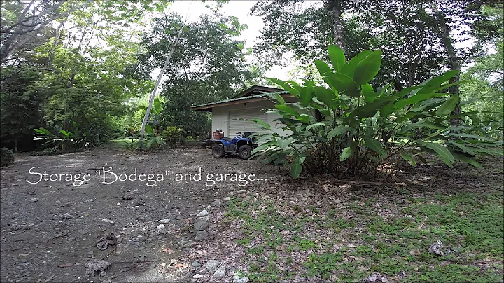 Roger Blakemore FOR SALE Guanabana Beach, Osa Peninsula, Costa Rica..