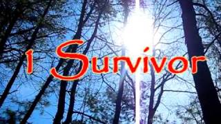 Survivor Tocantins Theme Song