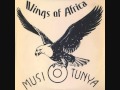 Wings of africa zambia 1975 de rikki ililonga  musi o tunya