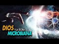 DIOS Y LA TEORÍA MICROVIANA/Apóstol Mario Rivera & Pastora Luz Rivera 3/20/20