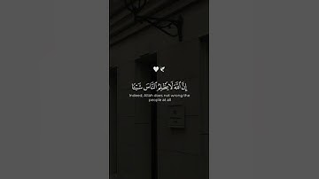 ارح سمعك.. تلاوة هادئة تريح القلب والعقل 💙🎧