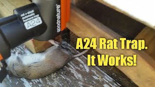 A24 Rat Trap from GoodNature, Review