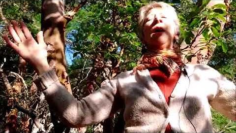 Sound of Love 6 - Light Language to redefine suffering, channeling the Ancient Ones.