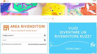Sito B2B Buzz Italia Come Accedere