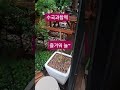 어차피 잊어버리고 또 기억나고~~ #건강 #곽정희tv #담열테라피