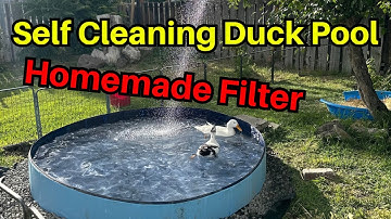 DIY Self Cleaning Duck Pool: Upgraded Bucket Filter System Tutorial