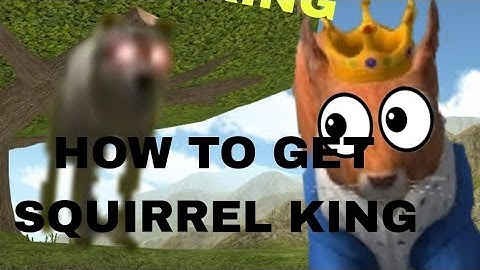 How to get squirrel king🐿 👑 /Squirrel simulator 2