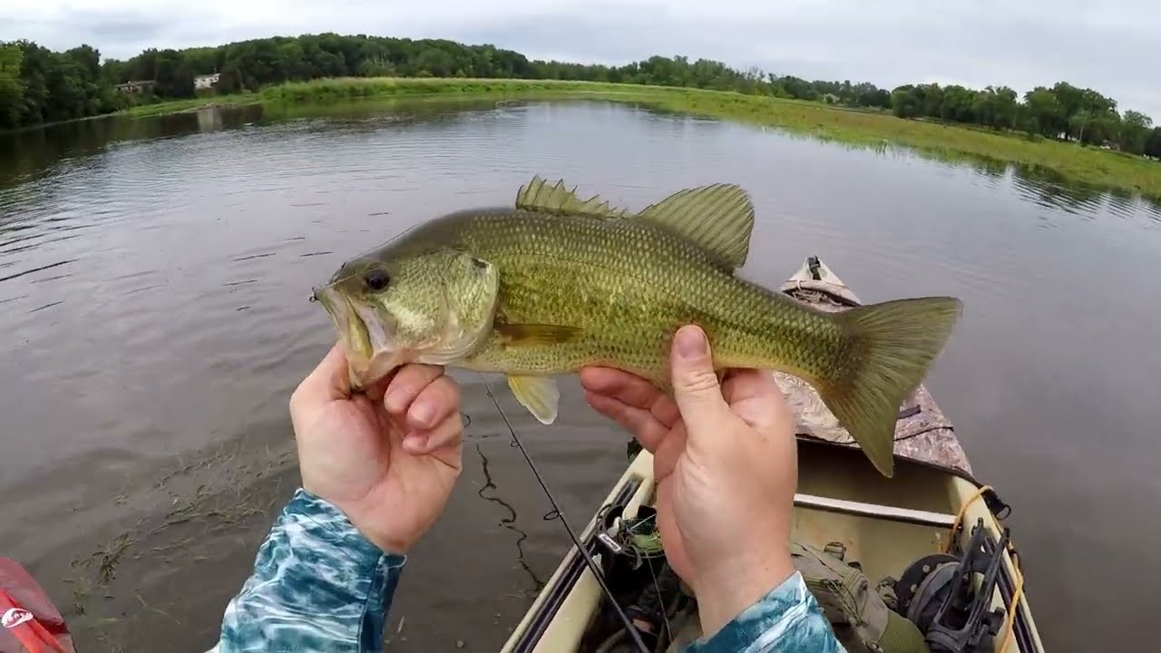 Kayak Bass Fishing In A Small Michigan Reservoir!