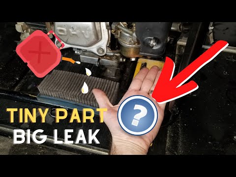Video: Wat kan 'n gasreuk in my motor veroorsaak?