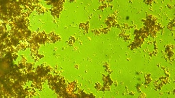 Interval and Instance