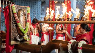 Isha Mahashivaratri 2022 Live: Linga Bhairavi procession to Adiyogi