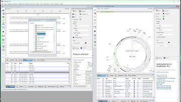 DNASTAR Lasergene - Restriction Enzyme Cloning in SeqBuilder Pro