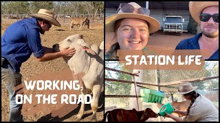 What it's like working on a Cattle Station in Outback Australia | NT EP 7  VANLIFE