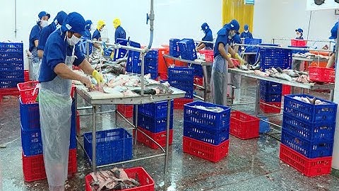 CPTPP và EVFTA: Cơ hội để Thủy sản Việt Nam phát triển bền vững