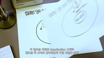 How To Do Transfection 한국어