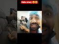crazy funny comedy dogs 🐶# #pets #funny #comedy #trending #memes #fun