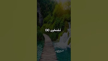 ما تيسر من سورة ( يس ) بصوت الحافظ القارئ الشيخ بدر الدين محي الدين الاعظمي - رحمه الله