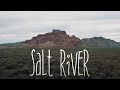 A Trip to Mesa&#39;s Salt River in January (4K)