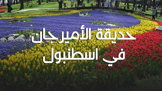 جولة تعريفية ممتعة عن حديقة الأميرجان في منطقة ساريير باسطنبول! | Emirgan Park