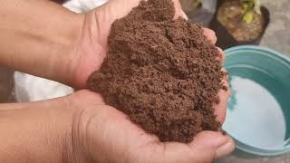 Mabisang Organic Liquid Fertilizer (Vermitea, worm tea)