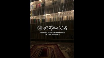 آلقران الكريم - سورة طه - آلاية [ 84 ] القارئ هيثم الدخين