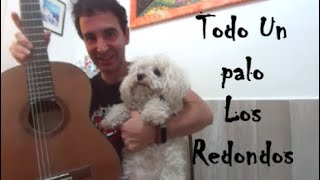 🎼Todo un palo Los redondos de Ricota cover guitarra fingerstyle Nicolas Olivero Ft. Margarita