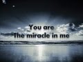 Miracle - Shinedown (Lyrics)