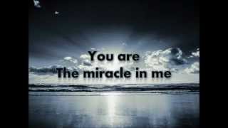 Vignette de la vidéo "Miracle - Shinedown (Lyrics)"