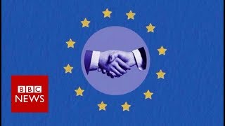 What is the EU customs union? - BBC News