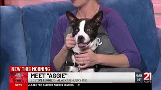 Forever Home Friday: Meet Aggie
