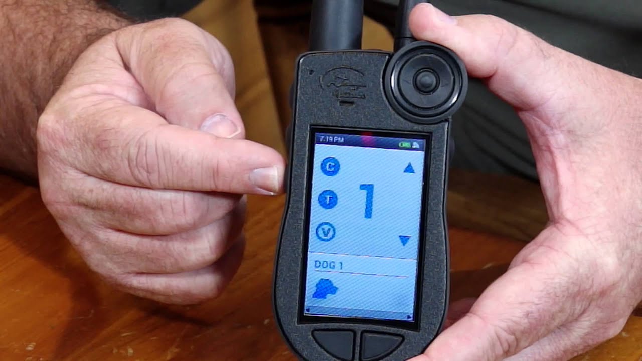 Sportdog tek2 0 Clearance