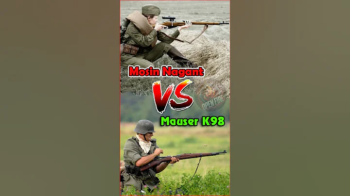 Mosin Nagant VS Mauser Kar98 . #history #shots #mauser #mosinnagant