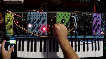 Matriarch and Impact