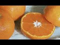 日本生まれの柑橘・温州みかん