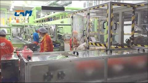 Full servo baby diapers packing machine commissioning