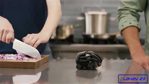 Vector Smart Automated Home Robot