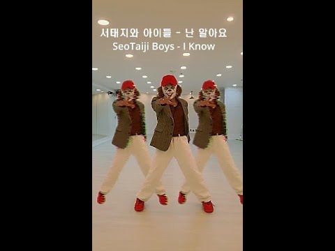 서태지와 아이들 - 난 알아요 댄스 | SeoTaiji Boys - I Know