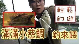 釣魚去~ 釣小慈鯛來去餵爬蟲啦!【戶外客】 