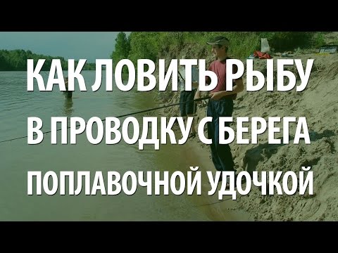 ловля плотвы в проводку только на москва реке