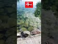 Ш Щ ЩЉ Ш Щ ЩЃЩ Щ Ші ЩЃЩЉ Щ Ш ЩЃЩ Ш Ш ЩѓЩ ШЁЩ Щ Ш Ш Щ рџ рџ Ш Щ ШЇЩ Щ Ш Ш Щѓрџ рџ Shorts Copenhagen Ш Щ ЩЉ Ш Щ ЩЃЩ Щ Ші ЩЃЩЉ Щ Ш ЩЃЩ Ш Ш ЩѓЩ ШЁЩ Щ Ш Ш Щ рџ рџ Ш Щ ШЇЩ Щ Ш Ш Щѓрџ рџ Shorts Copenhagen