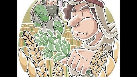 SUY NIỆM - CỎ VÀ LÚA − Lm. Giuse Nguyễn Trọng Sơn