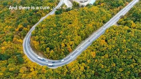 سورة الأنعام بصوت ملائكى