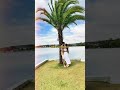 Bruna E Higashi Bruna E Higashi