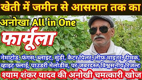 खेती के लिए All In One कीटनाशक Solution | सभी प्रकार के फंगस को खत्म करे | Desi Kheti Jugad |
