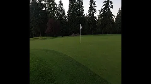 A Petty Vancouver Gangster is Eliminated By A Higher Level of Competition