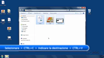 Per cosa sta Ctrl V?
