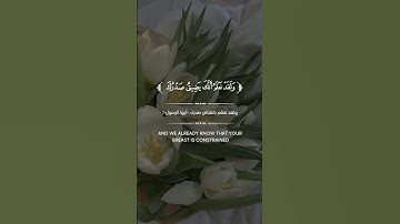 ﴿وَلَقَدۡ نَعۡلَمُ أَنَّكَ یَضِیقُ صَدۡرُكَ بِمَا یَقُولُونَ﴾ [الحجر ٩٧] القارئ ماهر المعيقلي