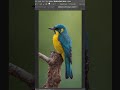 background remove Photoshop #shorts #youtubeshorts #viralshorts #trending #graphicdesign