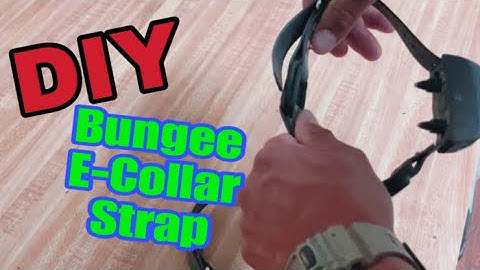 DIY Bungee E-Collar Strap.